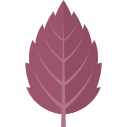 Фиолетовые