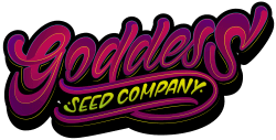 GodDessSeed